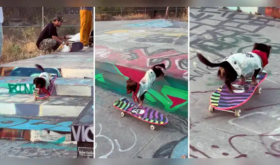 Perrito skater sorprende en redes tras realizar curiosos trucos con su patineta: “Es fantástico”
