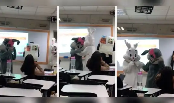 ‘Conejos’ entran a clases de alumnos de la UTP y son virales en redes: “En Perú nunca te aburres”