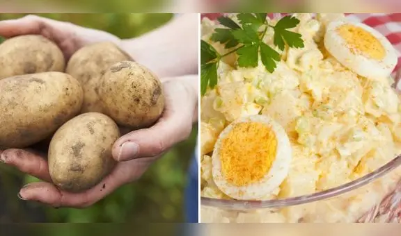 Día de la Papa: mira 3 recetas fáciles y económicas para preparar en casa con este tubérculo