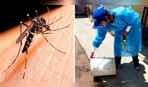 Dengue en Perú: reportan primer fallecido en Ventanilla por esta enfermedad