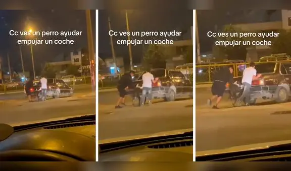 Perrito ayuda a su dueño empujando su auto y enternece en redes: "El mejor amigo del hombre"