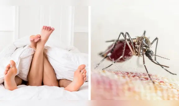 ¿El dengue se puede transmitir por relaciones sexuales?