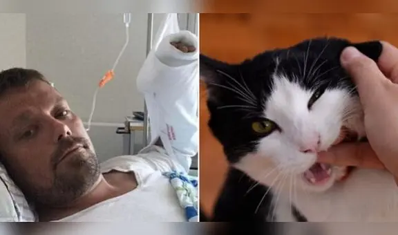 El dramático caso de Henrik: ¿cómo la mordedura de su gato le quitó la vida tras 4 años?