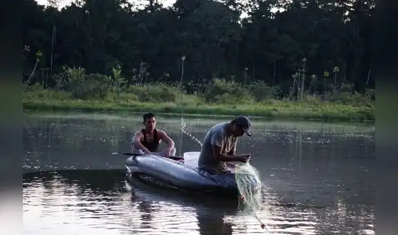 Madre de Dios: minería ilegal aumentó la contaminación con mercurio y deforestación