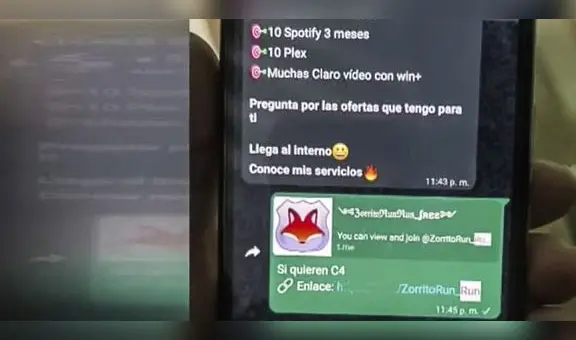 Caen ‘Zorrito Run Run’ y ’LegionMaster', hackers que vendían datos personales por Telegram y WhatsApp