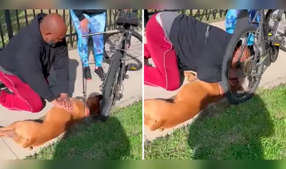 Hombre le salva la vida a un perro haciéndole una maniobra de resucitación cardiopulmonar en EE. UU.