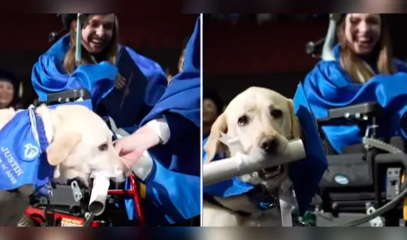Perro guía se graduó junto con su dueña con discapacidad y recibió diploma por asistir a clases