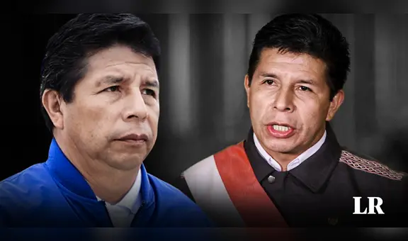 Pedro Castillo: ¿realmente una acción de amparo puede anular su vacancia presidencial?