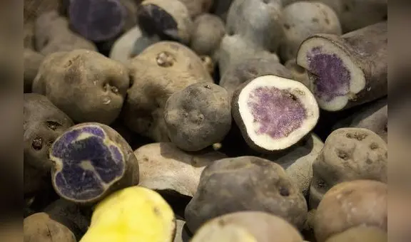 Exportación de papa superó los US$542.000 en el primer trimestre del 2023