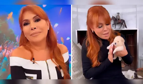 Magaly Medina presenta a sus 'nietos' a casi un mes de haber nacido: "Los cuidamos muchísimo"