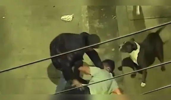 VES: capturan a delincuente que entrenó a su perro para asaltar a transeúntes