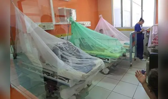 Piura registra 40 fallecidos y más de 30.000 casos de dengue