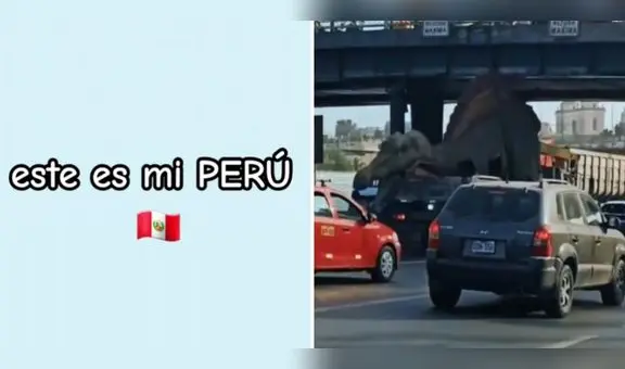 Dinosaurio se atora bajo puente Acho, causa caos vehicular y usuarios reaccionan: "Solo en Perú"