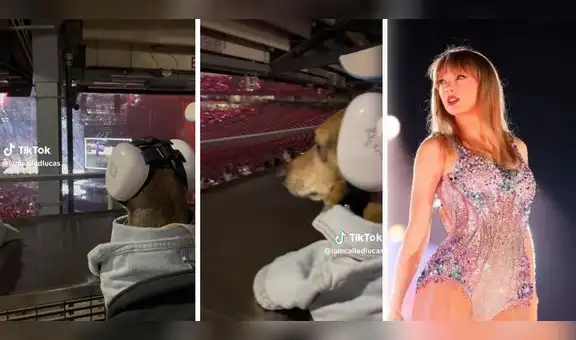 Perrito es parte del concierto de Taylor Swift y posa con increíble outfit: "Tiene más suerte que yo"