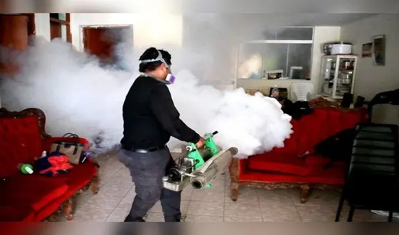 Autoridades unen esfuerzos para disminuir casos de dengue