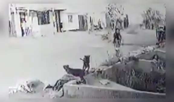 Madre denuncia que su hija de 7 años, atacada por dos perros, no recibió ayuda en Trujillo