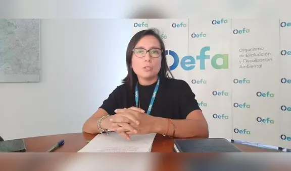 Jefa de la OEFA: “Deficiencias de las municipalidades generan acumulación de residuos sólidos”
