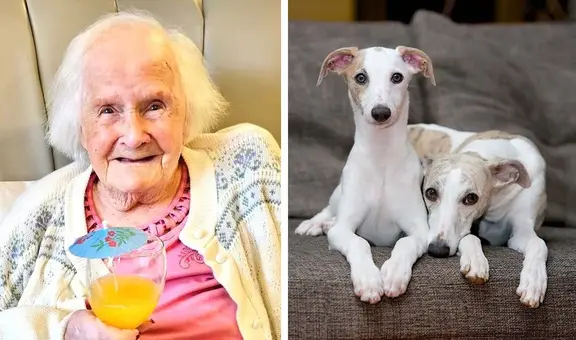 Mujer comparte su polémico consejo para llegar a los 108 años: “Tener perros en lugar de hijos”