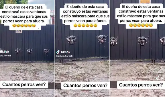 Construye máscaras en la puerta de su casa para que sus perros vean hacia la calle: "Es un genio"