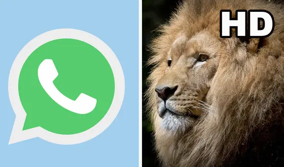 WhatsApp ya permite enviar fotos en HD: conoce cómo funciona la herramienta