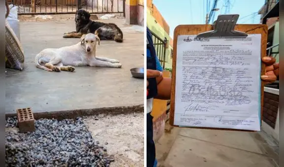 Bellavista: sancionan a vecina con más de 2.000 soles por tener dos mascotas en malas condiciones