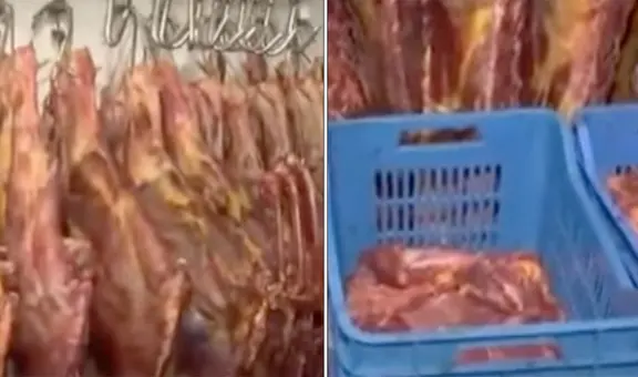 Ate: mataban 50 caballos al día para venderlos como carne de res en mercados La Parada y Caquetá