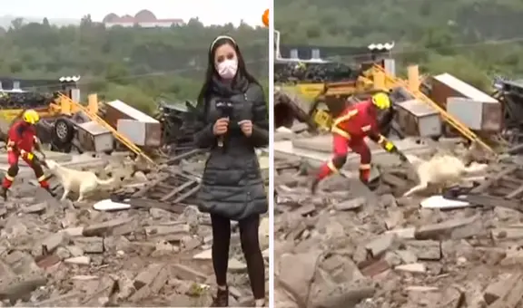 ¡La pelea del siglo!: perro y bombero se enfrentan por un trapo y lo transmiten en vivo