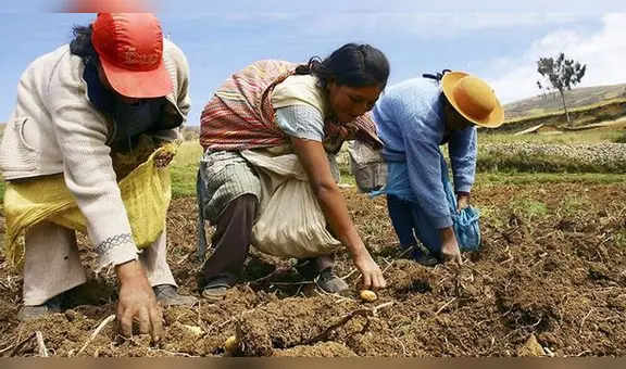 Senamhi advierte déficit hídrico ante fenómeno del Niño Global