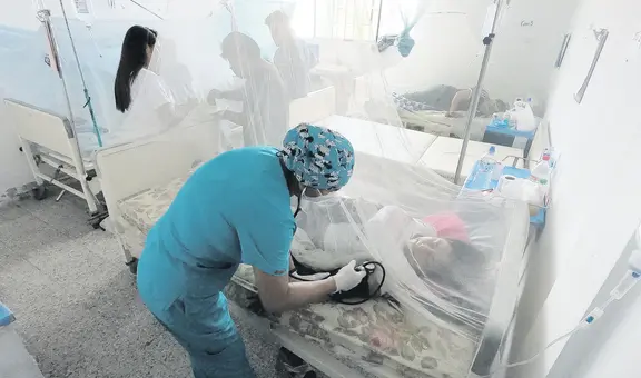 Perú lidera tasa de muertes por dengue en América
