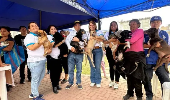 La Victoria: ofrecen en adopción a perros rescatados en incendio cerca de Gamarra