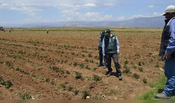 ¿Fenómeno El Niño afectará a la región Puno? Esto dice el Senamhi