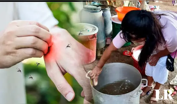 ¿Cómo se transmite el DENGUE y qué hacer para prevenir su CONTAGIO?: síntomas y tratamiento