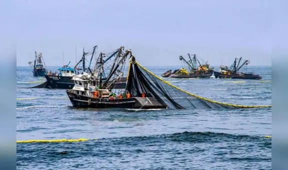 Pescadores del norte se quedan sin trabajo: piden declaratoria de emergencia por fenómenos climáticos