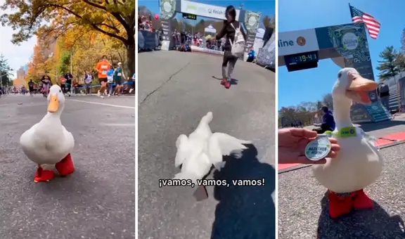 Pato participa en una maratón, se lleva los aplausos de la gente y hasta gana una medalla