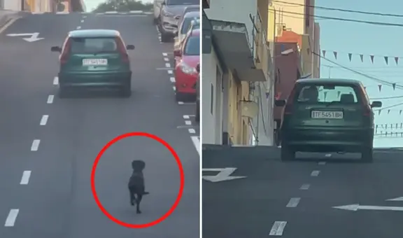 Captan momento en que mujer abandona un perrito en plena pista y este corre tras el auto