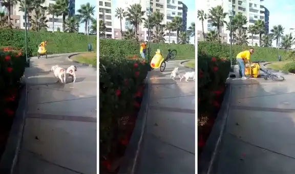 Heladero de D’Onofrio va a toda velocidad y se estrella con un poste: “Le pidieron un Turbo”