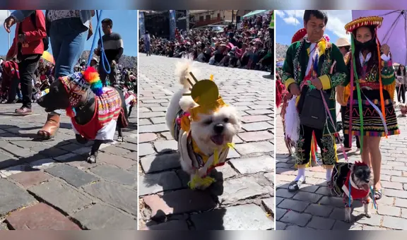 Perritos desfilan en Cusco con trajes típicos y enternecen a miles: “Qué lindos”