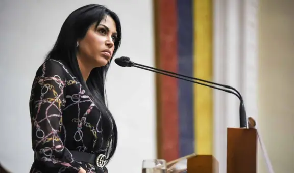 Primaria 2023: ¿quién es Delsa Solórzano, la próxima opositora a inscribir su candidatura?