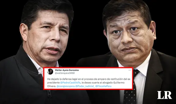 Pedro Castillo: Walter Ayala abandona defensa en proceso de amparo de restitución del expresidente