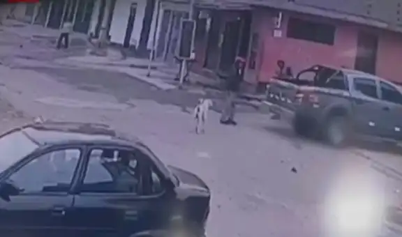 SJM: cámaras captan instante en que auto atropella a hombre que alimentaba a perros callejeros