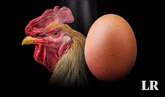 Científicos responden, por fin, a la pregunta: "¿Qué fue primero, el huevo o la gallina?"