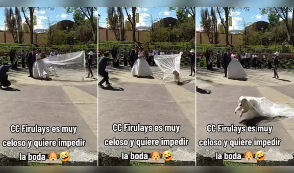 Perrito le quita el velo a la novia en plena sesión de fotos: “El Firulais se opone”