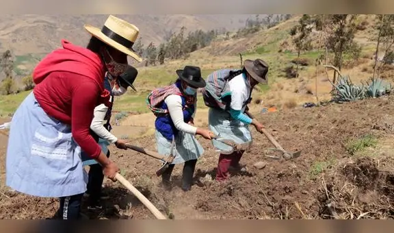 Cofide: más del 60% de participantes rurales en uniones de crédito y ahorro son mujeres