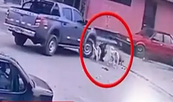 Hombre que fue atropellado mientras alimentaba a perros de la calle se encuentra en UCI: "No sé si vivirá"