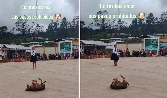 Perrito se roba el show durante actuación escolar y causa furor con sus ‘pasos prohibidos’