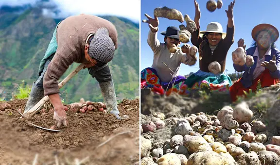 Día del campesino 2023: ¿este 24 de junio es feriado en Perú?