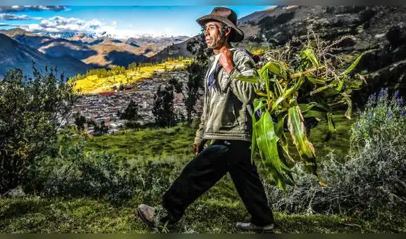 Día del Campesino: en el Perú, 4 de cada 10 agricultores están en condición de pobreza