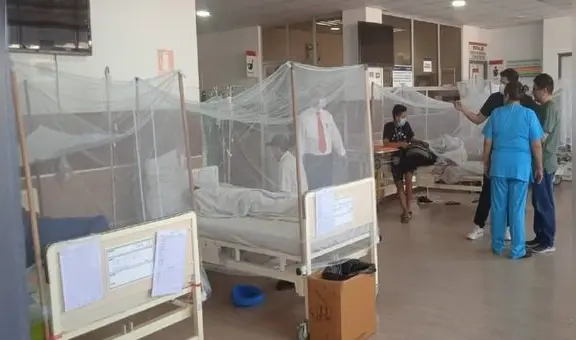 Dengue en Perú: INS confirmó presencia de la variante cosmopolitan en Lambayeque