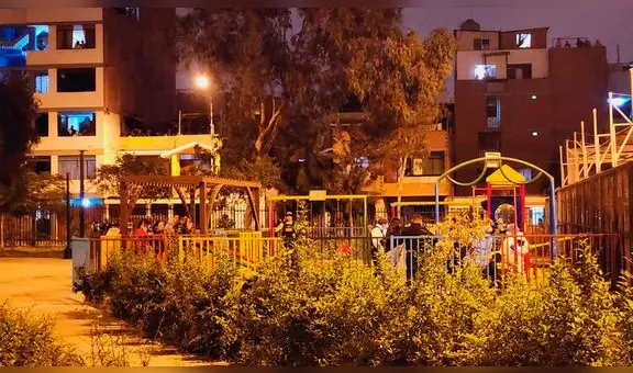 Ate: niño de 9 años fallece tras accidente en juegos de parque