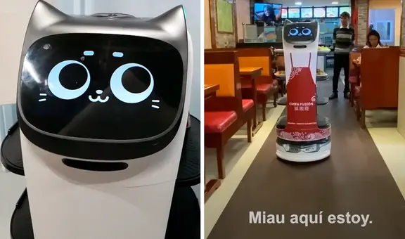 Un gatito robot es el mesero sensación en este chifa de Lima: ¿dónde queda y cómo llegar al local?